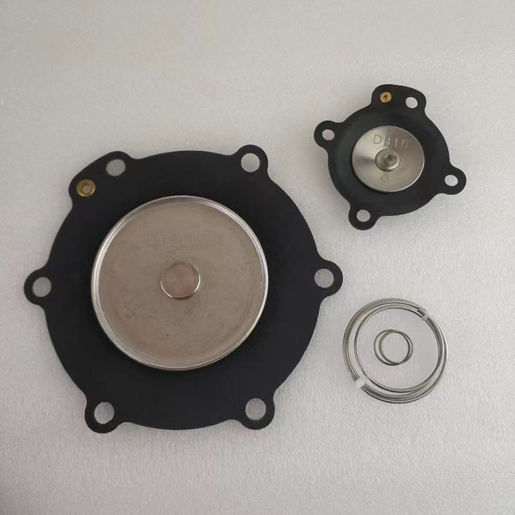 ຊຸດ DB116 Nitrile Diaphragm ສໍາລັບ VNP216