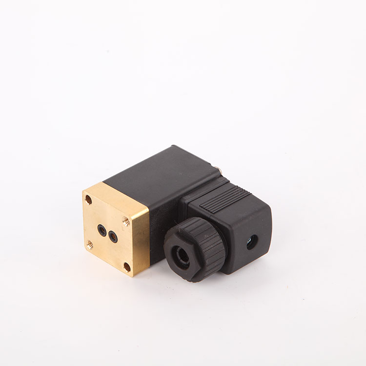 Plunger Pulse Solenoid Valve Valve Valve